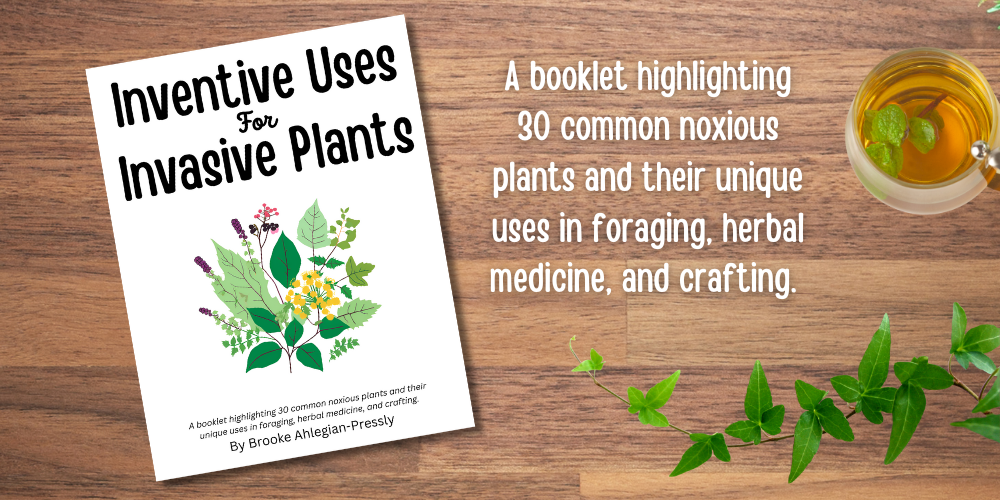 Inventive Uses for Invasive Plants